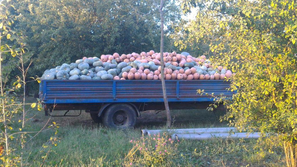 فونتانيلاّتو Agriturismo La Fattoria Del Boschetto المظهر الخارجي الصورة