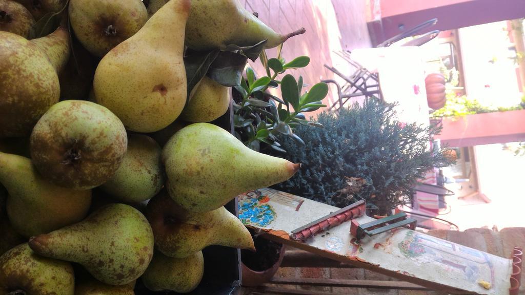 فونتانيلاّتو Agriturismo La Fattoria Del Boschetto المظهر الخارجي الصورة